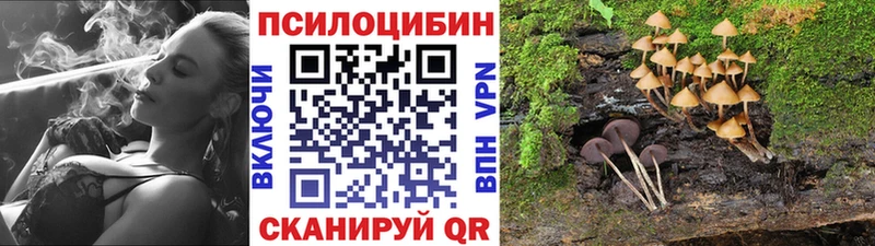 Галлюциногенные грибы Cubensis Плавск